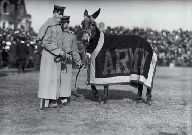 army mascot is a mule