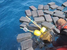 The Coast Guard caught a sea turtle with $53 million in cocaine