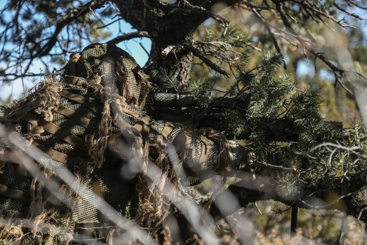 Check out these amazing photos of sniper camouflage