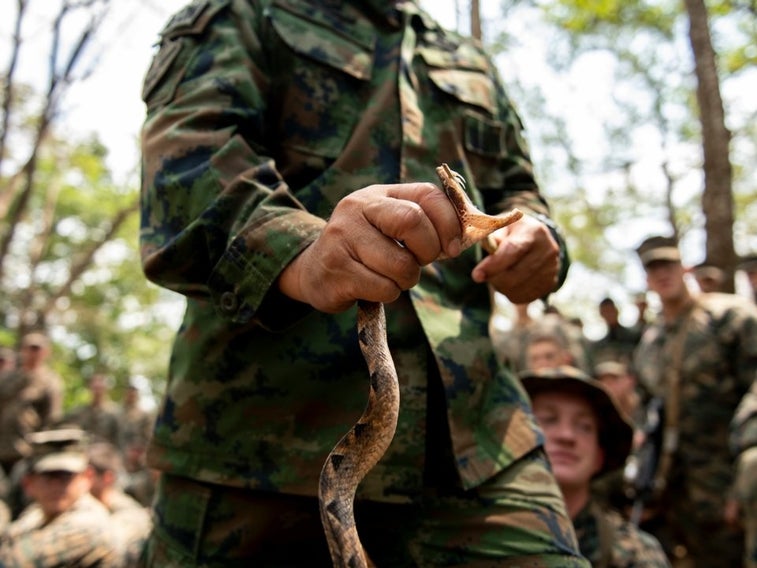 9 epic photos of Marines drinking snake blood and eating scorpions