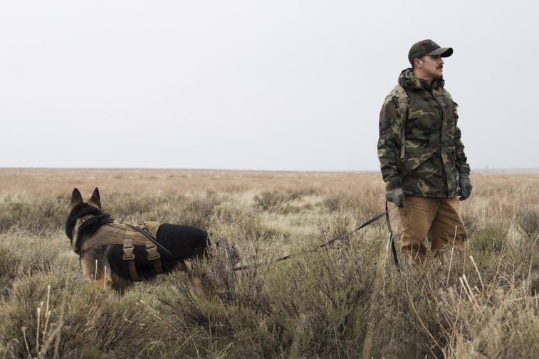 How the Air Force pits a military working dog against a ‘downed pilot’
