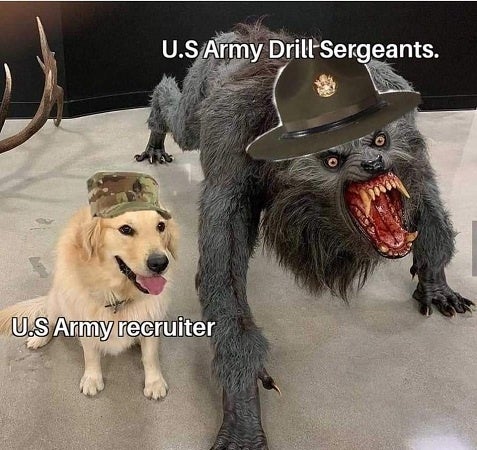 The 13 funniest military memes for the week of June 21st