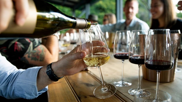 Can sommeliers actually tell the difference between expensive and cheap wines?