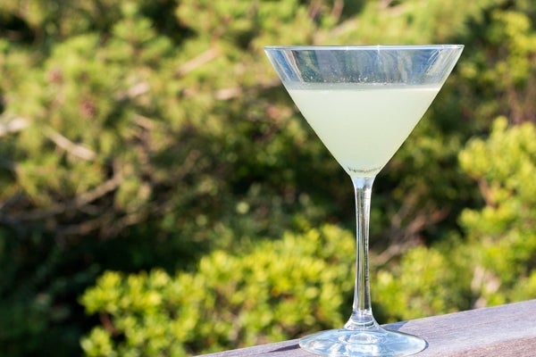 6 easy and refreshing gin summer cocktails