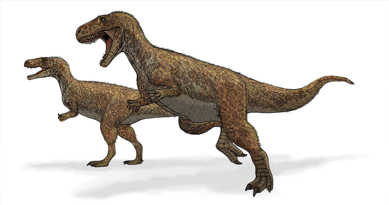 From dragons to giants, here’s what people first thought of dinosaur bones