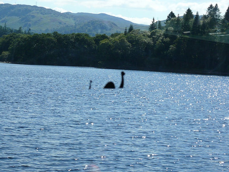 New study suggests Loch Ness Monster may actually be a giant eel