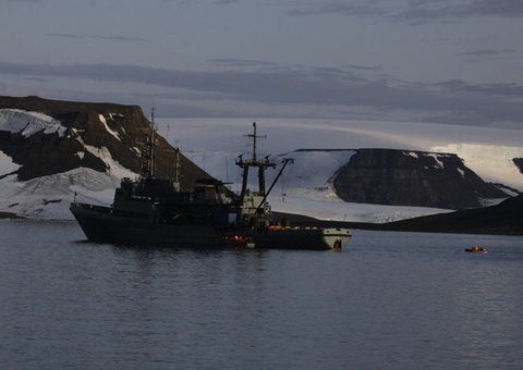 A walrus just attacked and sunk Russian navy boat