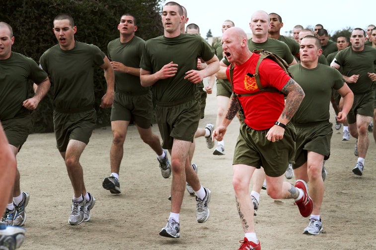 5 perfect fitness jobs for veterans