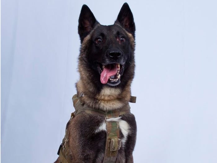 8 very good boys and girls who are military heroes