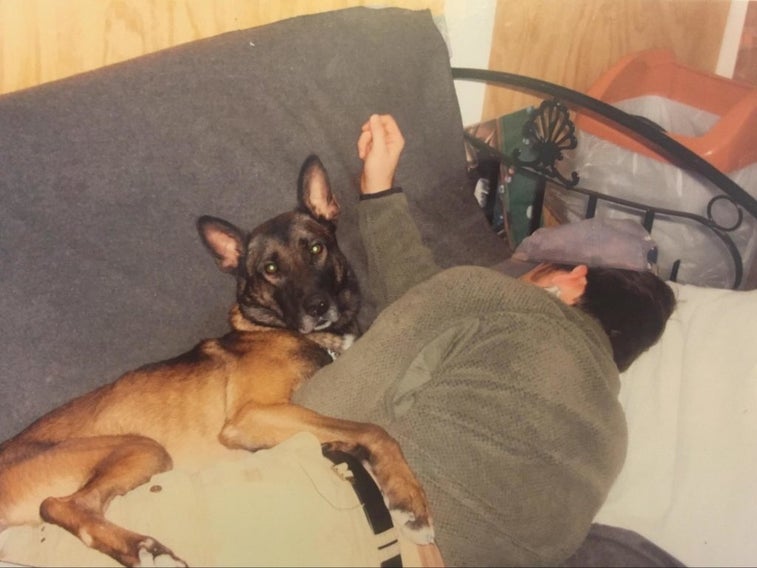 Weblo’s final flight: A special operations military working dog receives hero’s goodbye