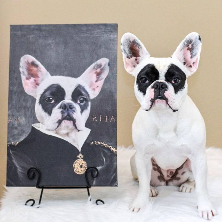 7 great gifts for your military pet