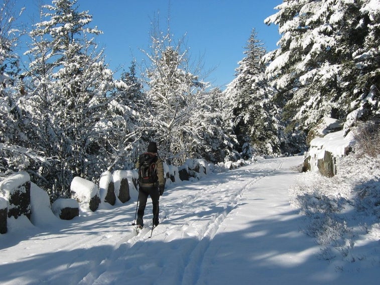 3 of the best winter snowshoe adventures