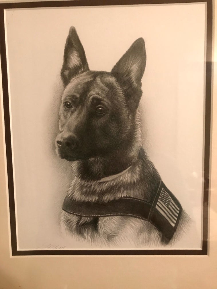 The story of Atos, a heroic K9 killed in action