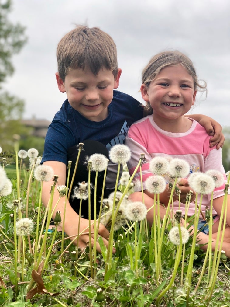 Why dandelions are the official flower of military kids