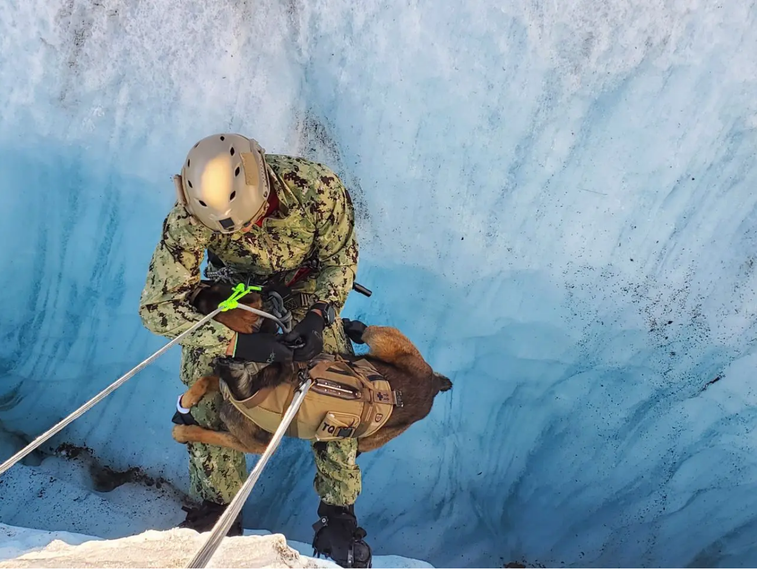 Arctic and special operations: Preparing for the next battle