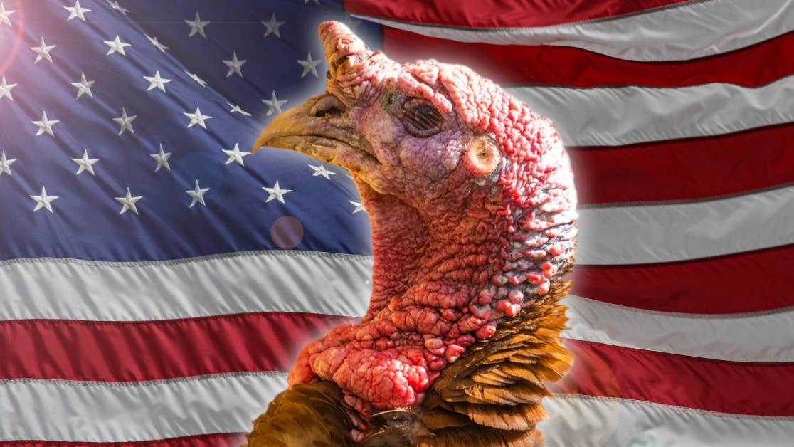 7 Reasons the Turkey Should Have Been the US National Bird