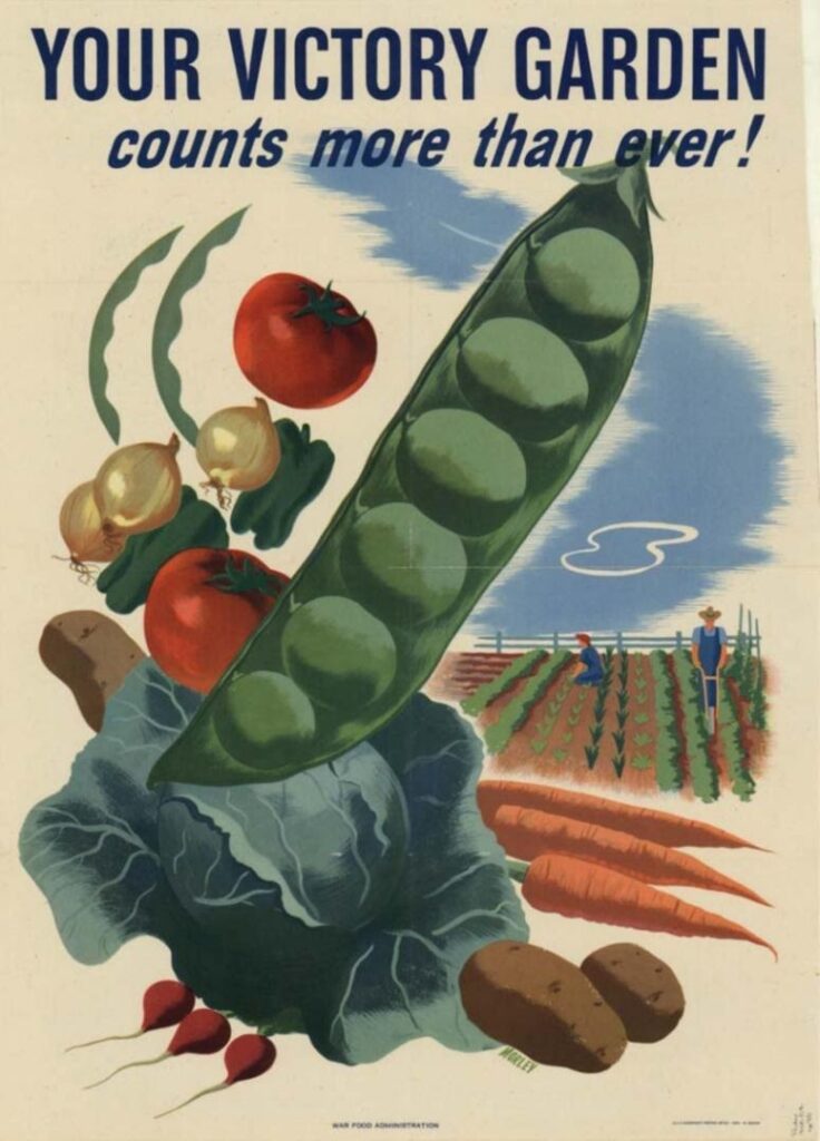 A Victory Garden poster from WWII. Photo credit Wikipedia.