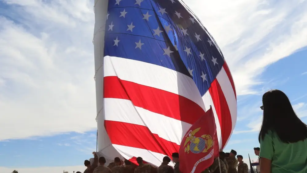 veterans day american flag