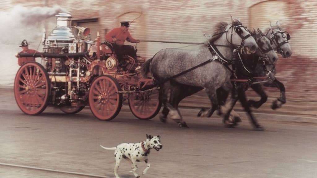 Four-legged smoke eaters: How dalmatians became official mascots of the fire service