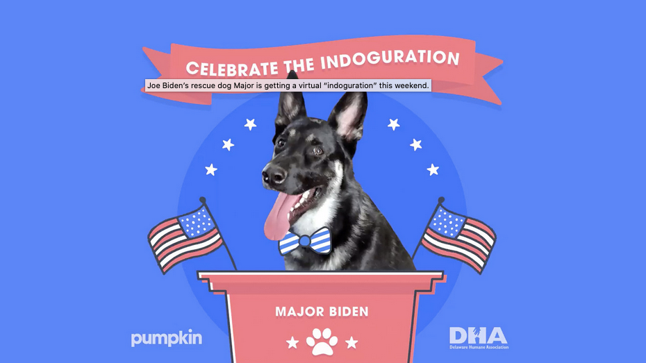 Joe Biden’s rescue dog Major is getting a virtual “indoguration” this weekend. Delaware Humane Association, Pumpkin Petcare