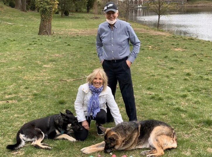 Biden and his wife with their furry pooches Champ and Major Biden. ― Picture via Twitter/FirstDogsChamp&amp;MajorBiden