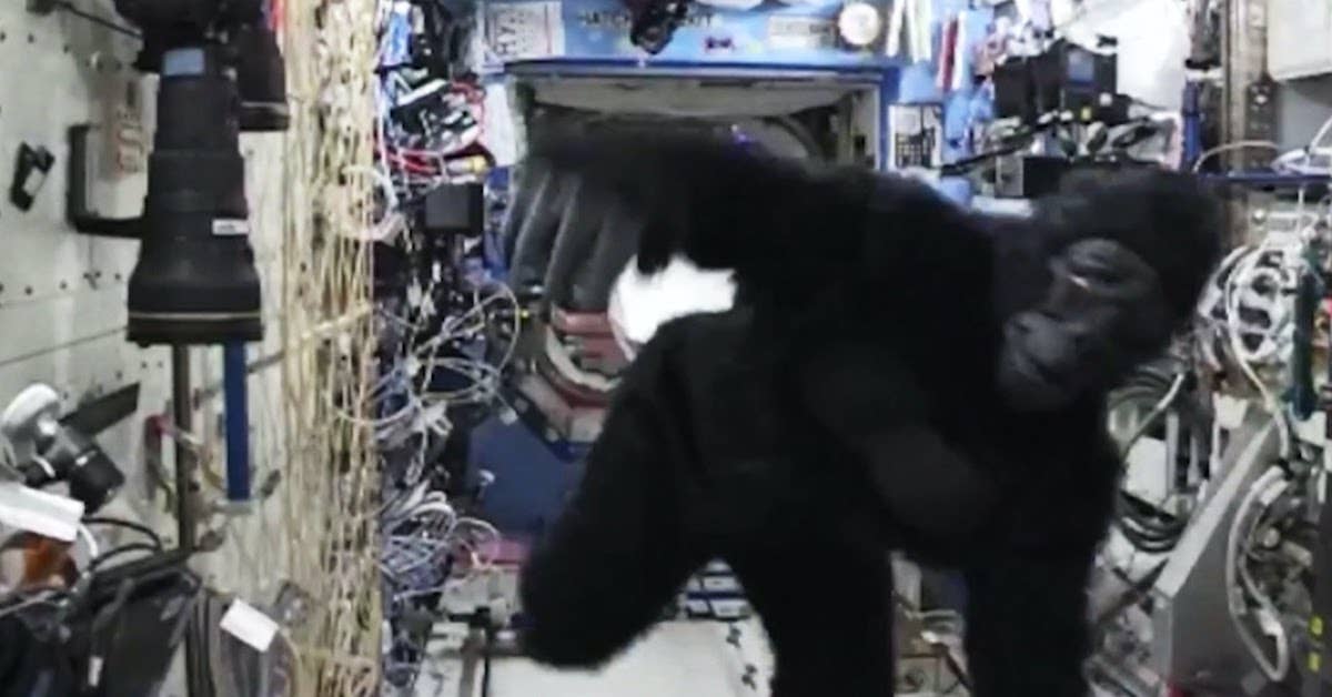 gorilla suit in space