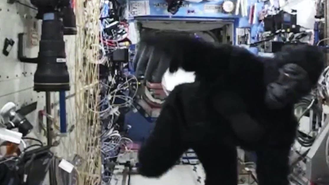 gorilla suit in space