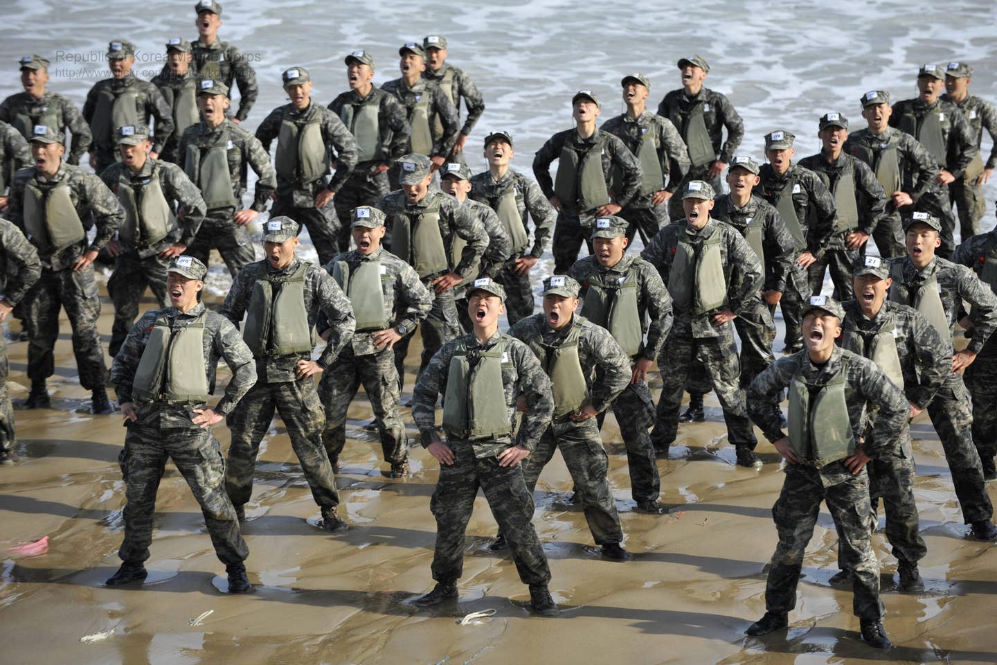 south korean marines