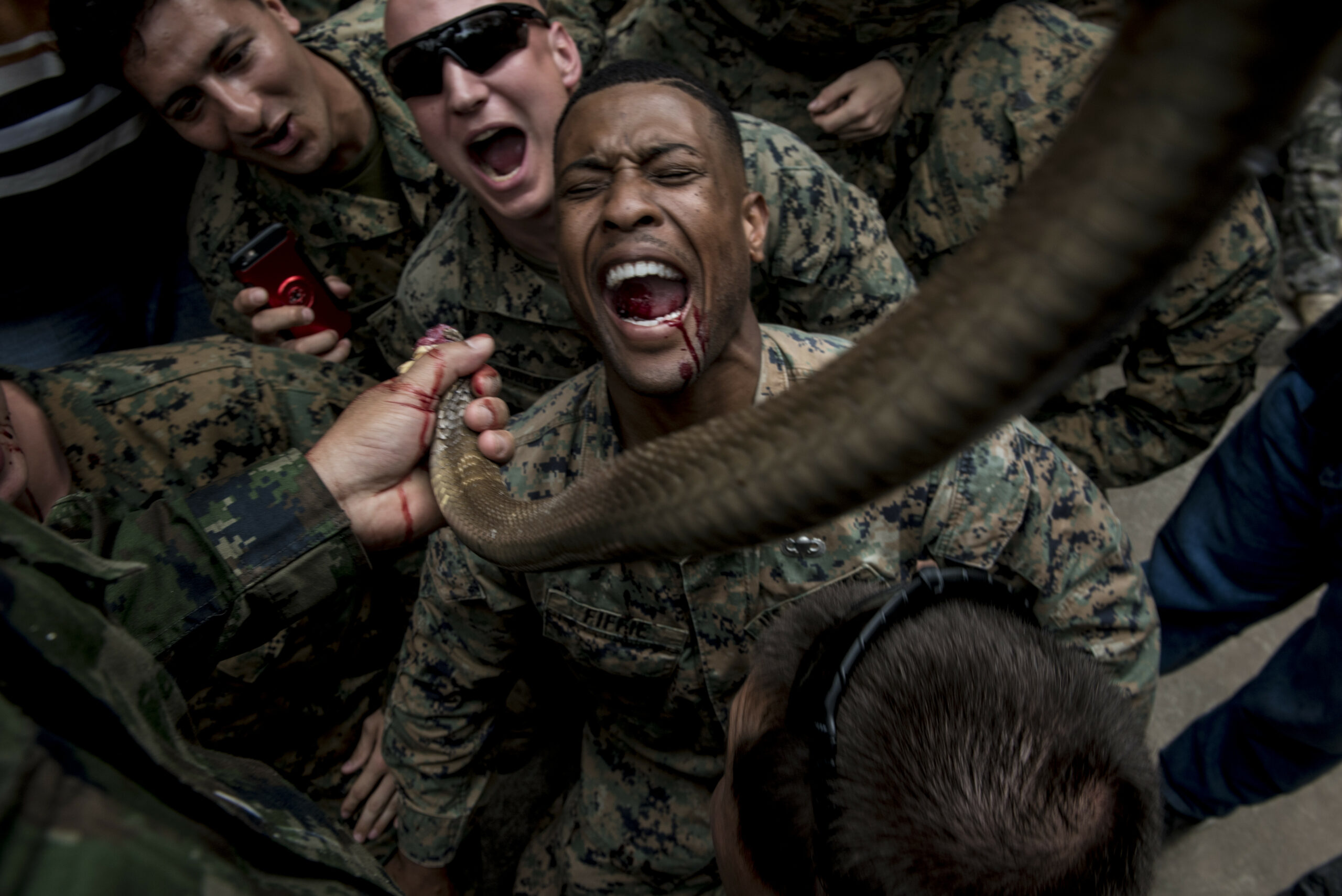 U.S. Marine Corps Sgt. Christopher Fiffie, a reconnaissance Marine from Edgard, La. assigned to 3rd Reconnaissance Battalion, 3rd Marine Division, drinks cobra blood during jungle survival training Feb. 19, 2018, in Sattahip, Chonburi province, Thailand. The training was conducted as part of Exercise Cobra Gold 2018. In a survival scenario snake blood can be consumed to keep an individual hydrated while the meat can be used as a source of nutrition. The annual exercise is conducted in the Kingdom of Thailand held from Feb. 13-23 with seven full participating nations. (U.S. Air Force photo by Staff Sgt. Micaiah Anthony)