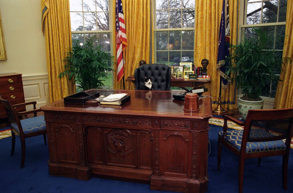 President Clinton's cat, "Socks," sitting at the Resolute Desk in 1994. (Wikimedia Commons)