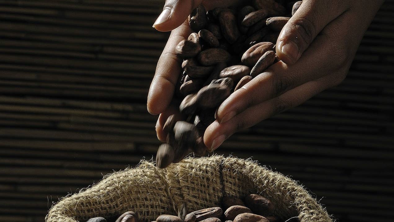 14 things you could buy with cacao seeds during colonial times