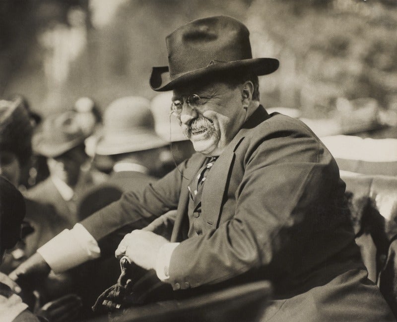 Winston Churchill’s plan to get Teddy Roosevelt into World War I