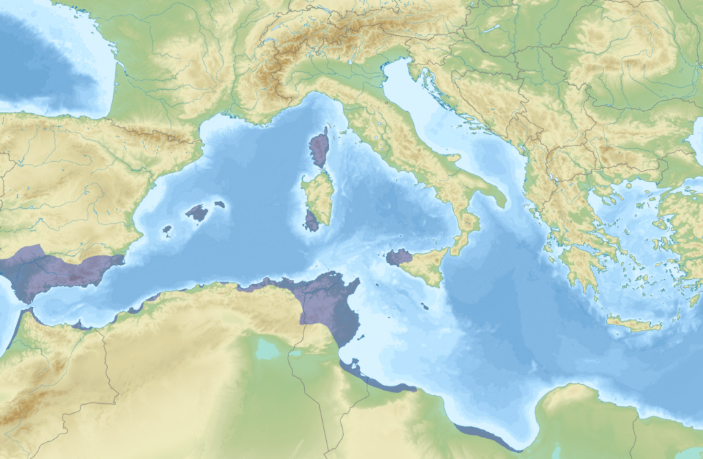 Carthage and its dependencies in 264&nbsp;BC. (Wikimedia Commons)
