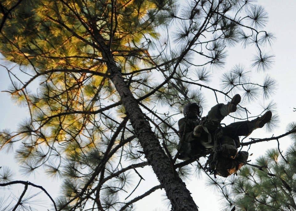 <em>A Rough Terrain Paratrooper from the 57th Engineer Company prepares to rappel down from the tree he landed in (U.S. Army)</em>