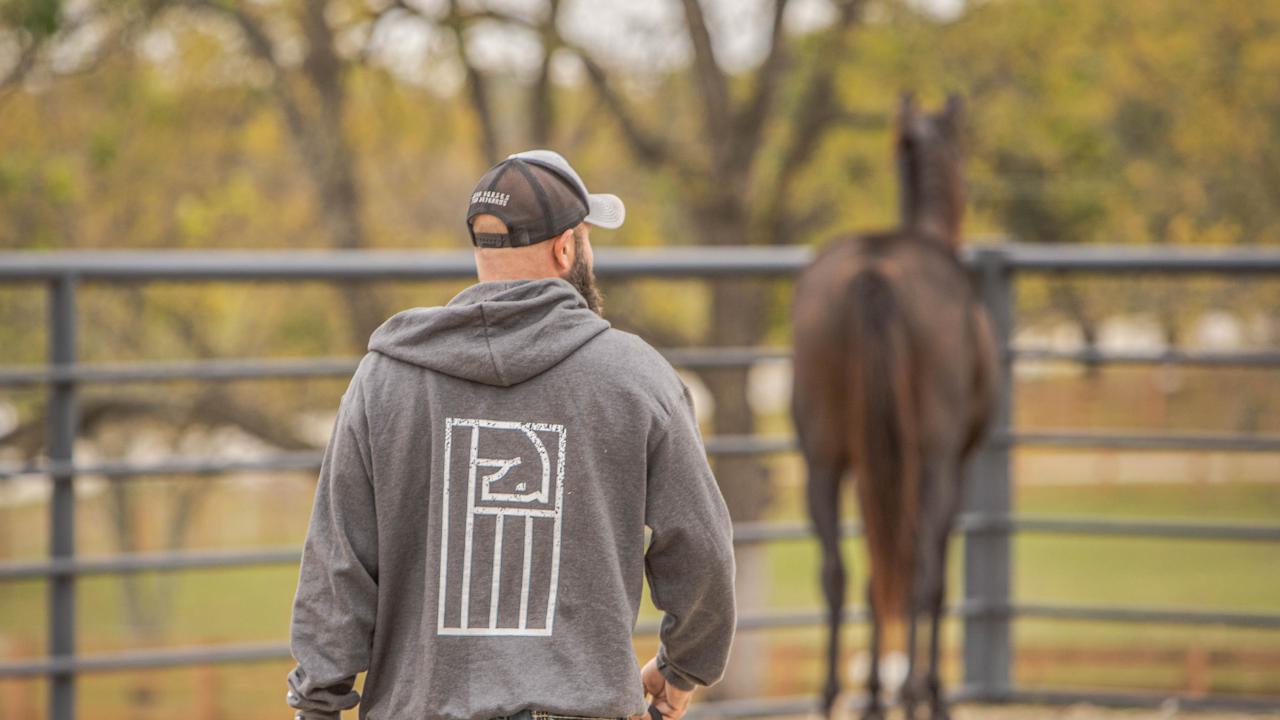 Horses clear your mind and heal your heart. Exclusive interview with &#8216;War Horses for Veterans&#8217; Co-founder Patrick Benson