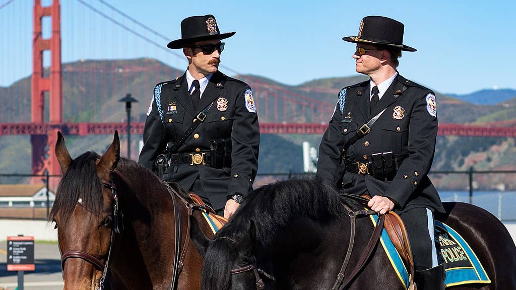 This is why some police officers are mounted on horseback in cities
