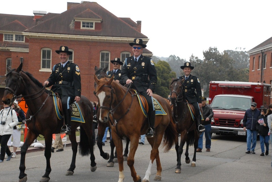 This is why some police officers are mounted on horseback in cities