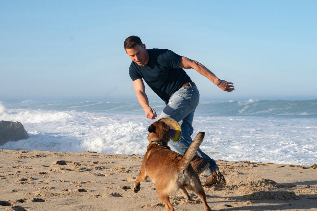 Why Channing Tatum is the perfect person to make a film like ‘DOG’