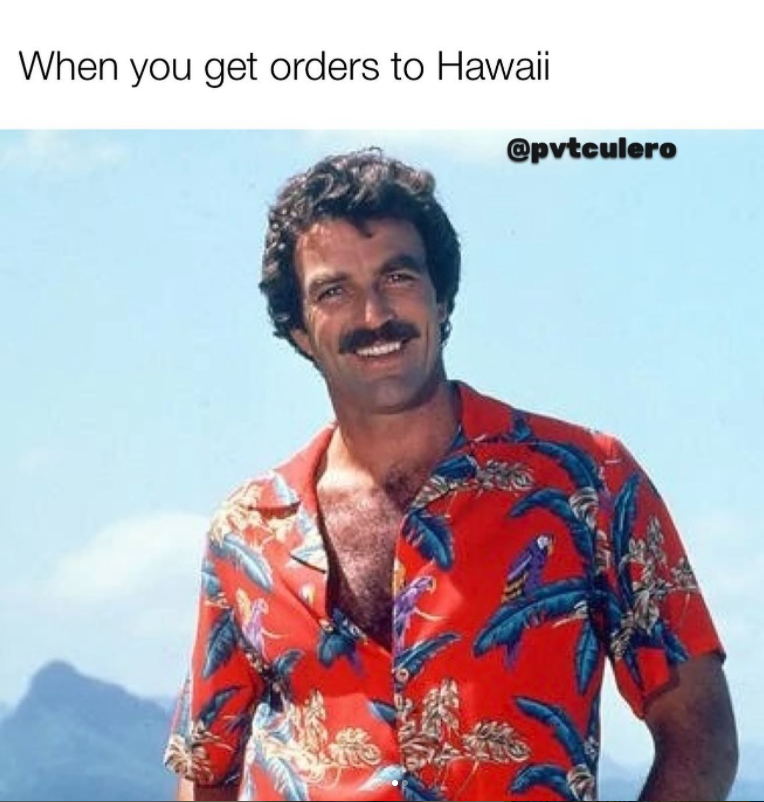 hawaii memes