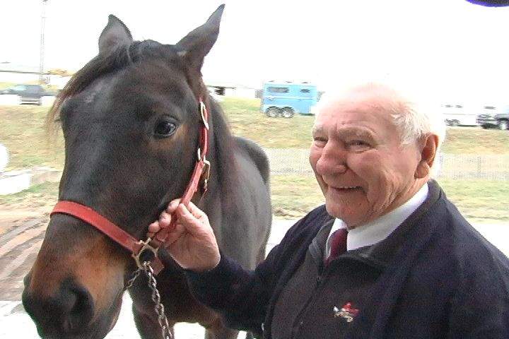 A World War II veteran got his sight back after being hit by a horse