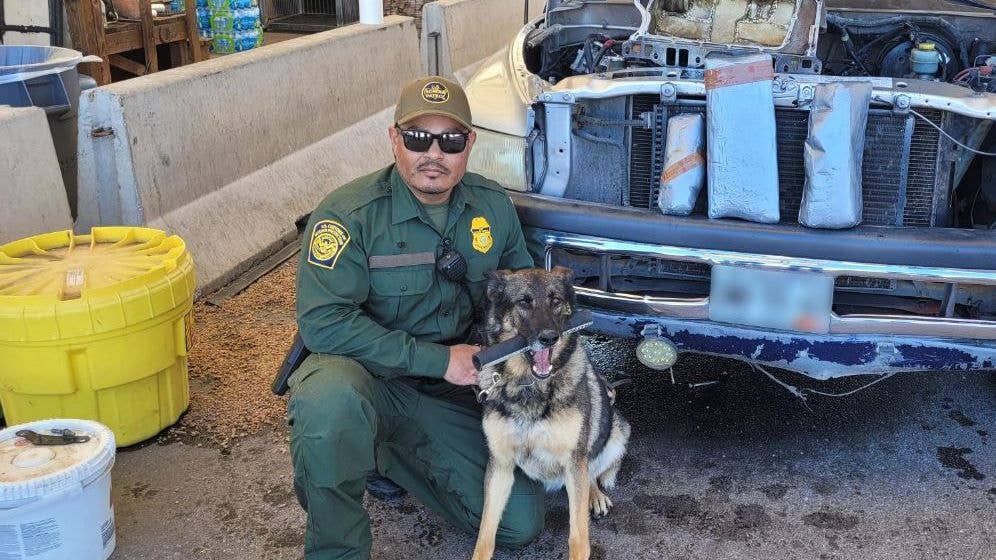 <em>This good doggo located 12 pounds of fentanyl hidden in a vehicle (U.S. Border Patrol)</em>