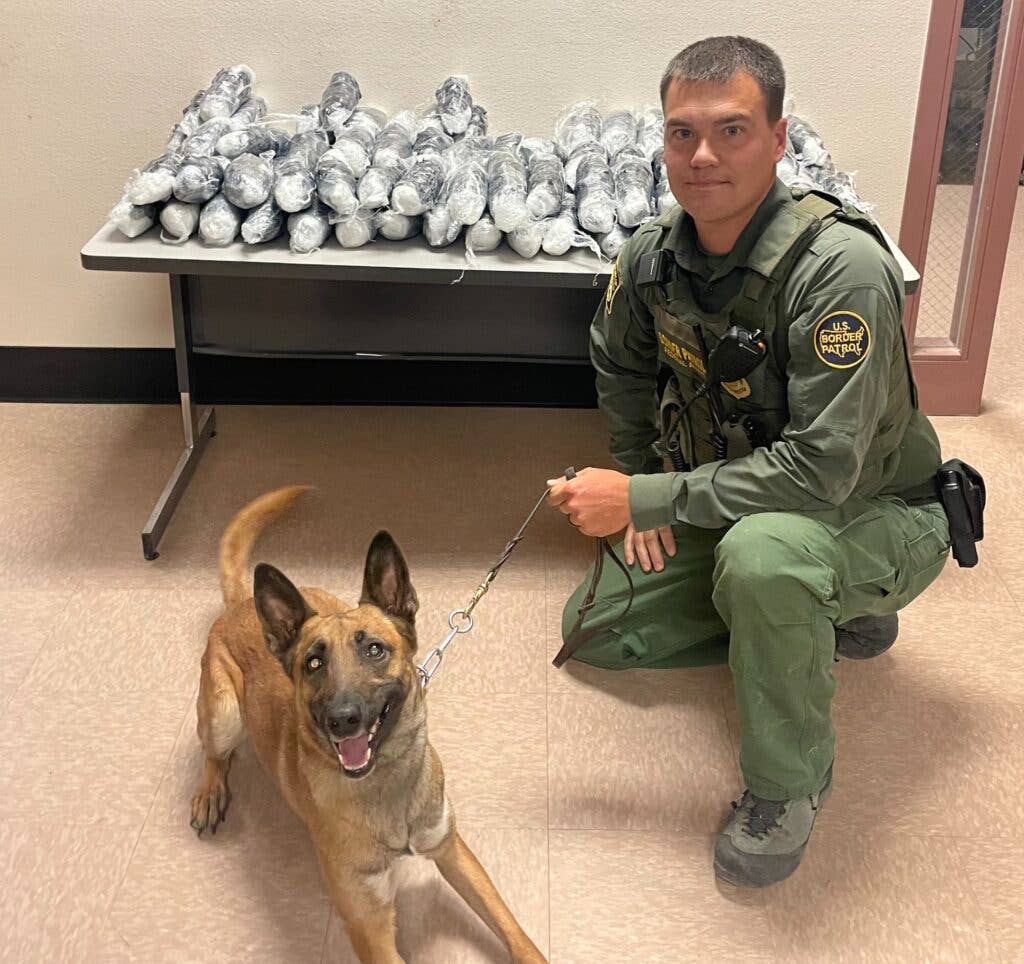<em>Another good doggo sniffed out 102 pounds of methamphetamine (U.S. Border Patrol)</em>