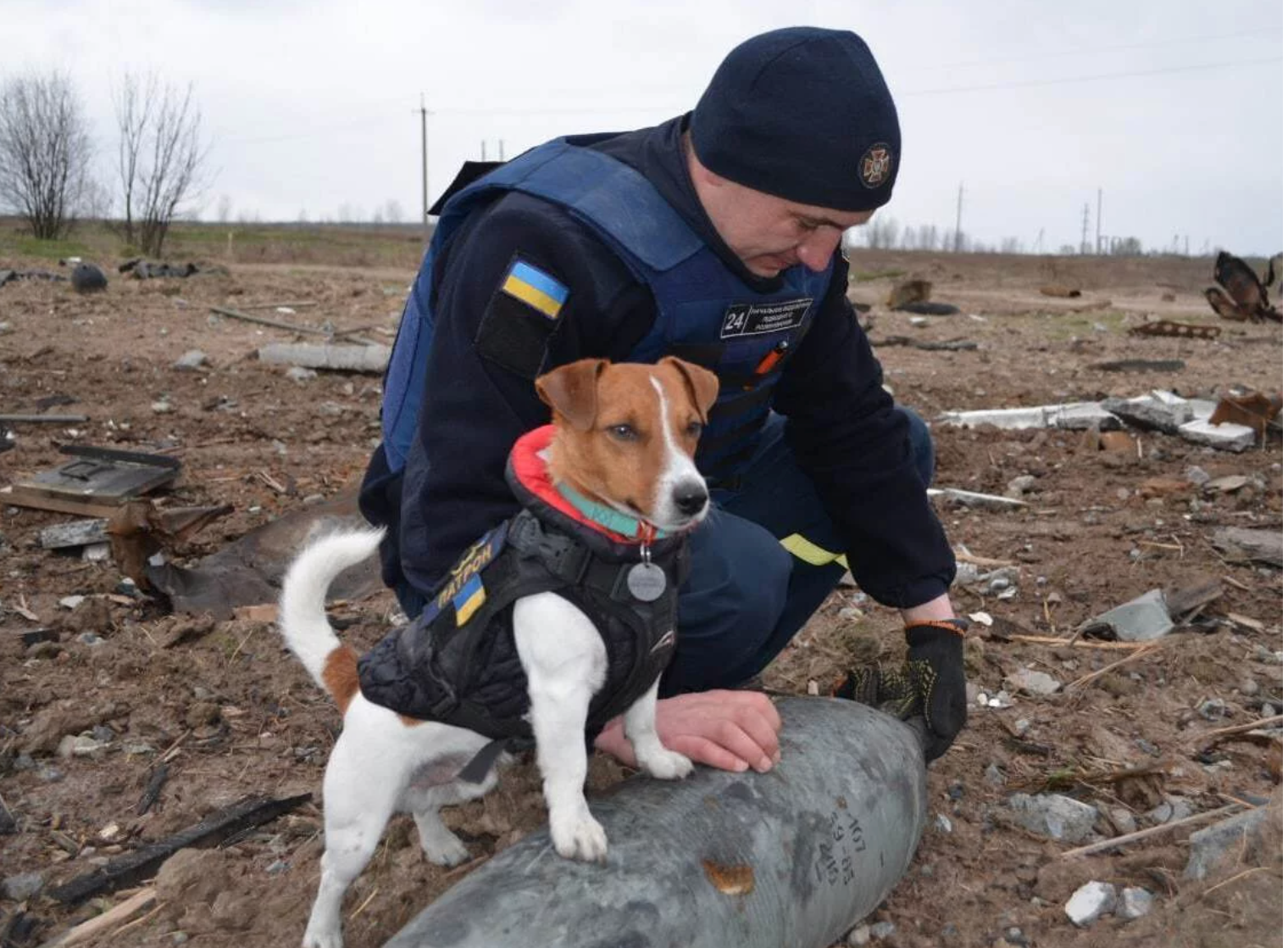 Meet Ukraine&#8217;s furry bomb-sniffing hero, &#8216;Patron&#8217;