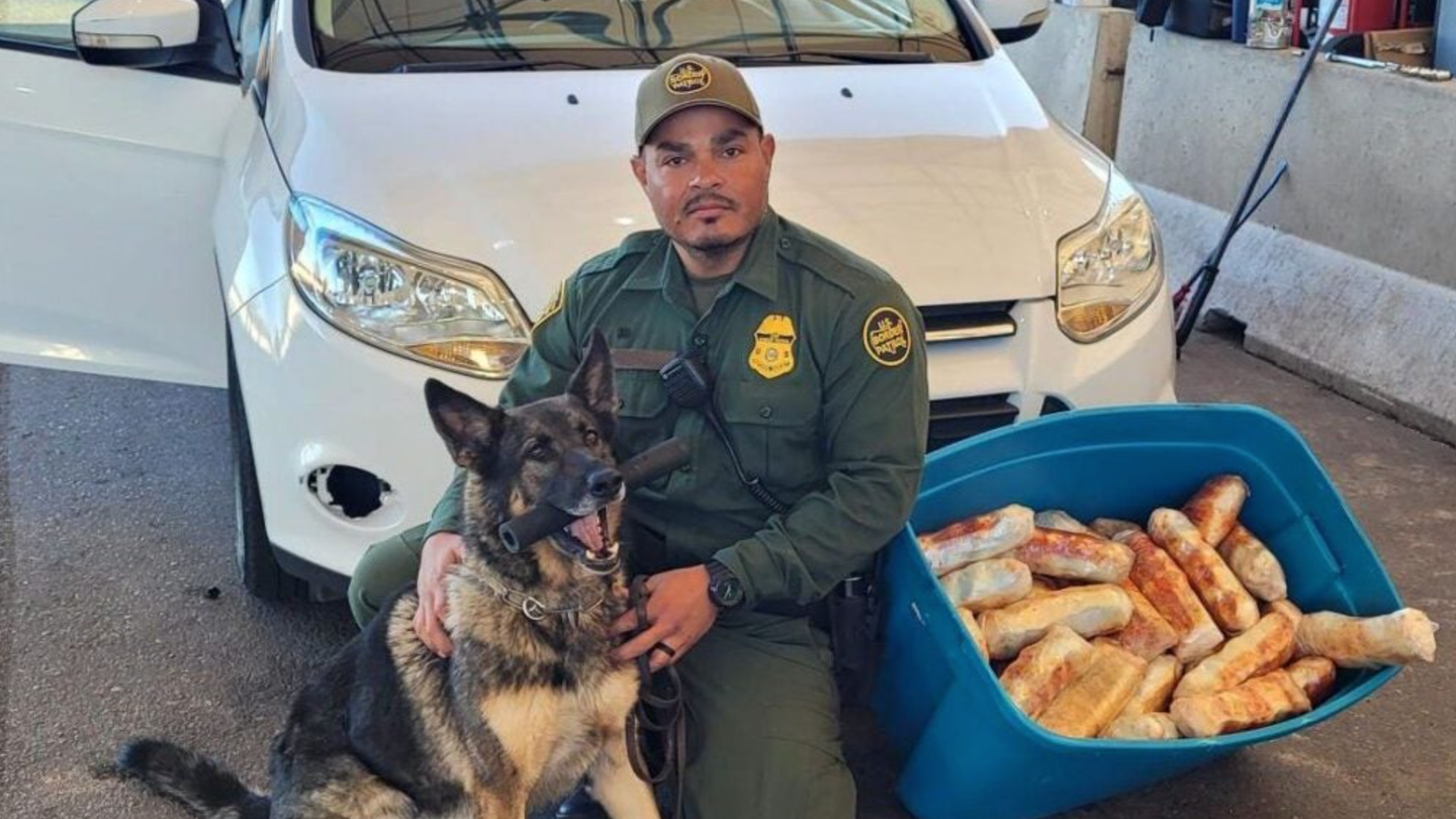 This good doggo located 85 pounds of fentanyl in food items (U.S. Border Protection)