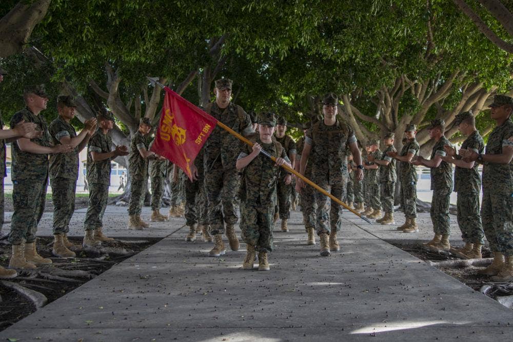 <em>Wyatt carries the Support Battalion guidon as he leads a hike during his experience at MCRD San Diego (U.S. Marine Corps)</em>