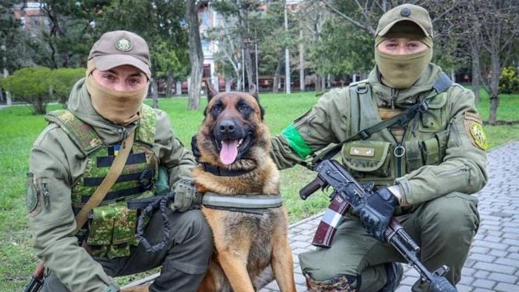 Russian forces abandoned this dog, now he&#8217;s serving with Ukraine