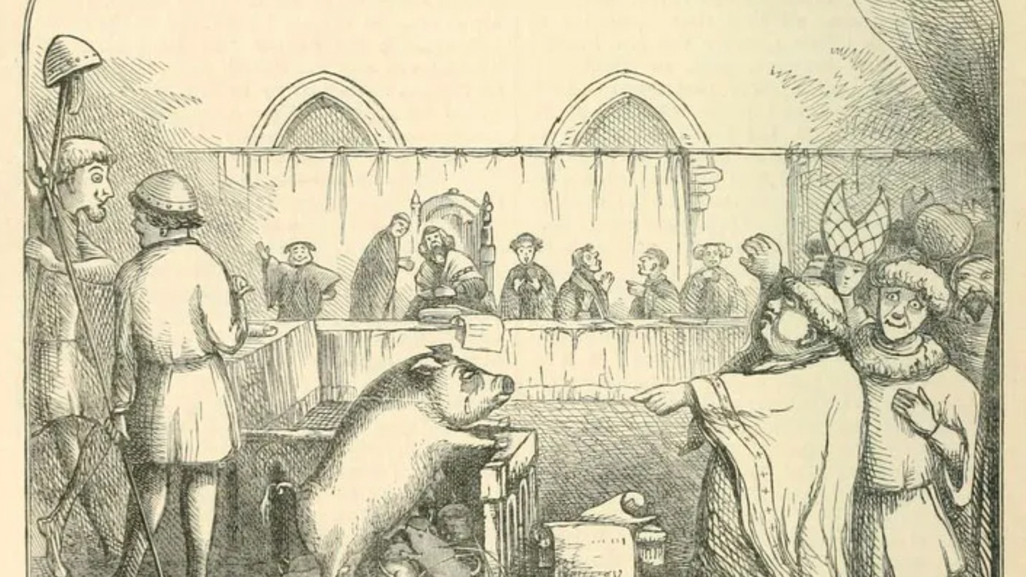Why a French pig stood trial and was executed