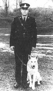 How Hitler and the Nazis almost killed off White German Shepherd Dogs