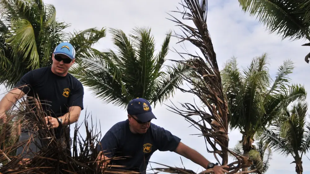 Tracy Moran, chief Naval Air crewman, right, and Petty Officer 2nd Class Jeremy Gardner, Naval Air crewman, both assigned to Helicopter Sea Combat Squadron 25, collect coconut tree fronds. HSC-25 Sailors are working with the National Park Service in a continuing project to beautify Asan Beach Park at Guam. (U.S. Navy photo by Oyaol Ngirairikl/Released)