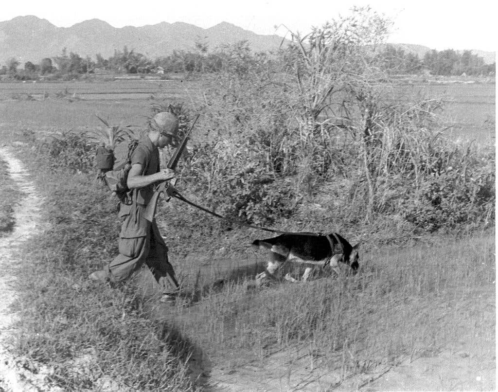 military dogs in the vietnam war